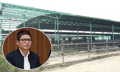 Con trai ông Trần Bắc Hà: Từ doanh nhân trẻ thành đạt đến khi bị truy nã quốc tế
